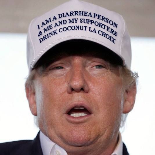 An edited picture of our 45th President wearing a hat that say: