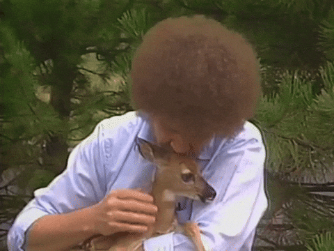 Bob Ross hugs a small deer outdoors.